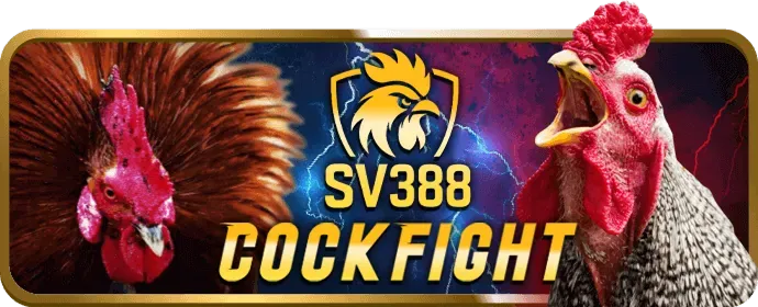 Bắt đầu săn cá tại Fun8